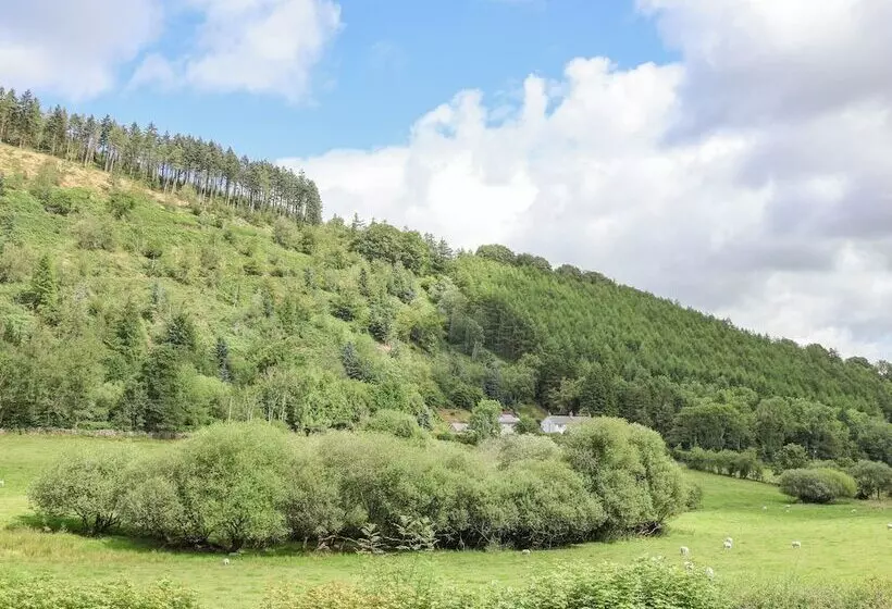 The Little White Cottage