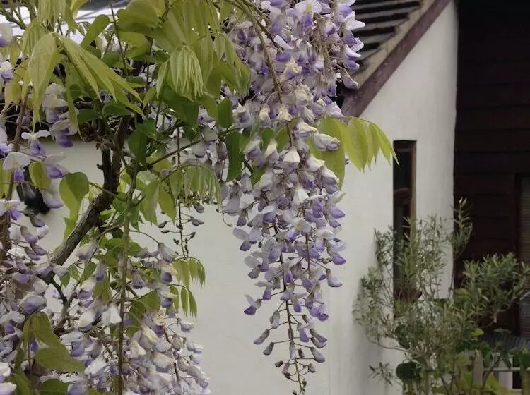 Aamiaismajoitus (B&B) Yew Tree Farm