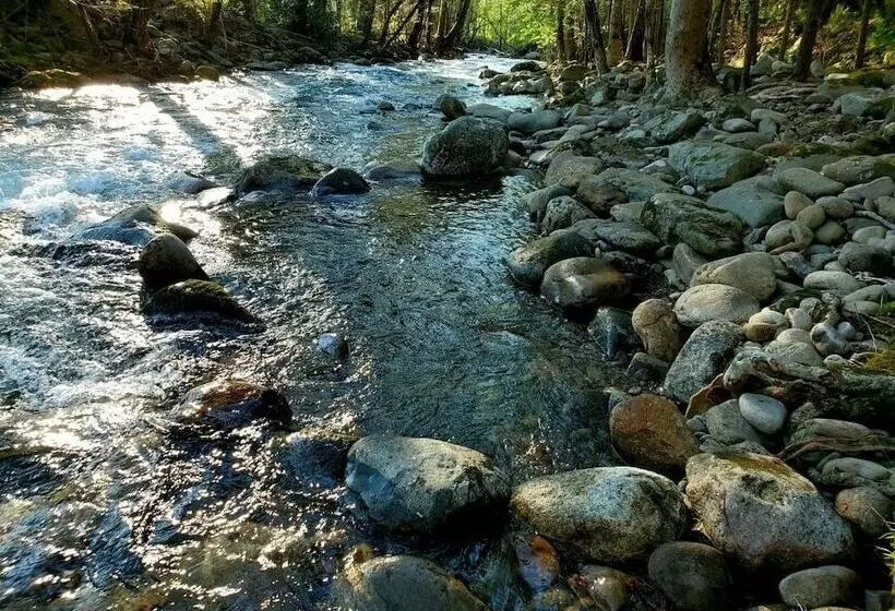 Elk Run On Cosby Creek   2 Bedrooms, 2 Baths, Sleeps 7 Cabin By Redawning