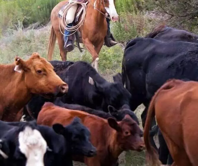 Fish Creek House Bed & Breakfast