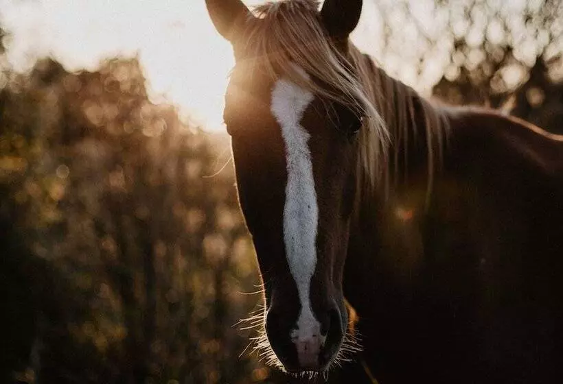 Fish Creek House Bed & Breakfast