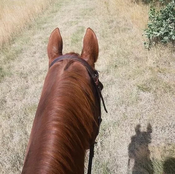 Fish Creek House Bed & Breakfast