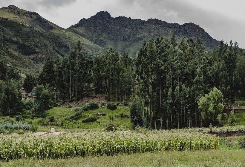 簡易ホテル Hatha Art Yoga Pisac