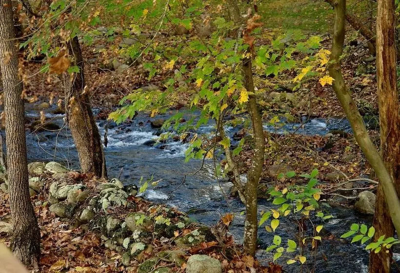 Jon S Pond On Cosby Creek   2 Bedrooms, 2 Baths, Sleeps 6 Cabin By Redawning