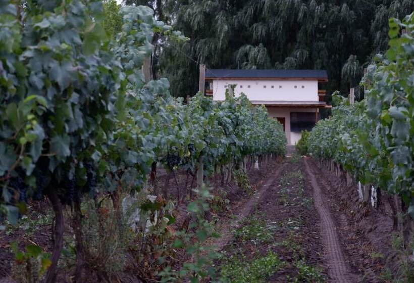 منتجع Finca Ogawa