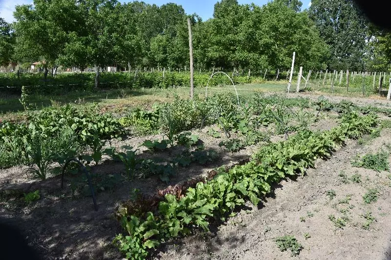 Lomakeskus Finca Ogawa