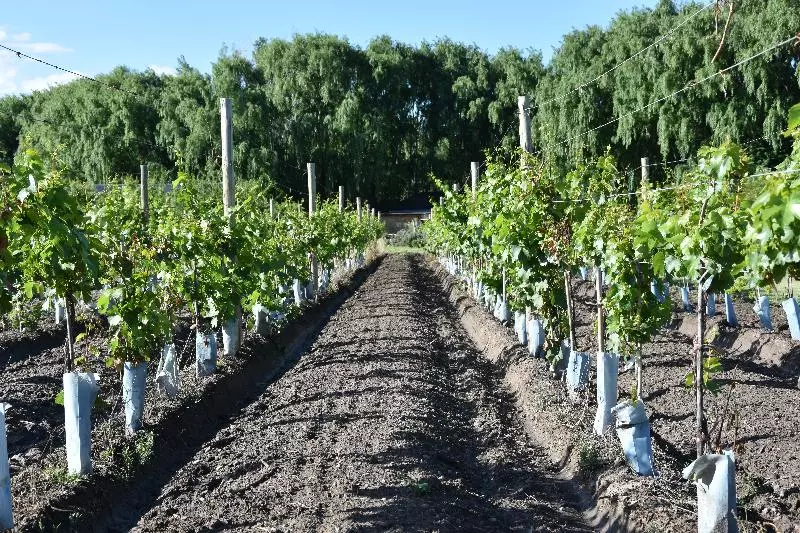 Lomakeskus Finca Ogawa