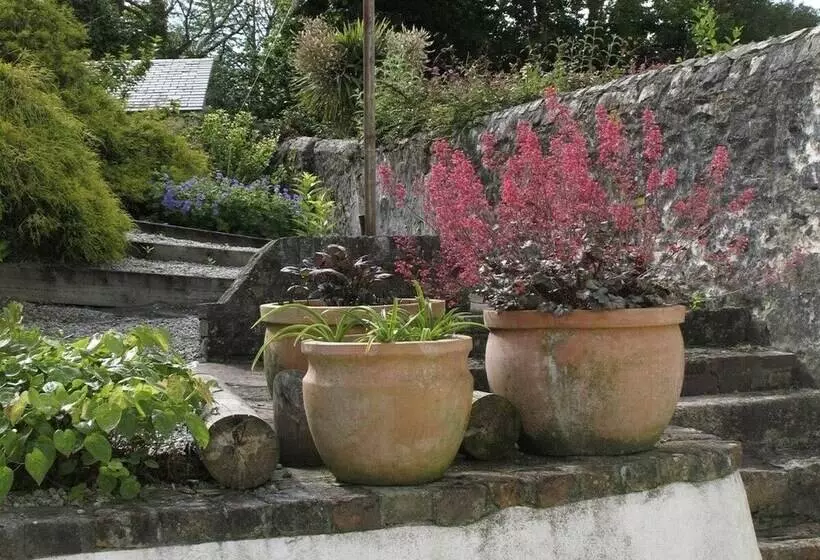 White Duck Cottage