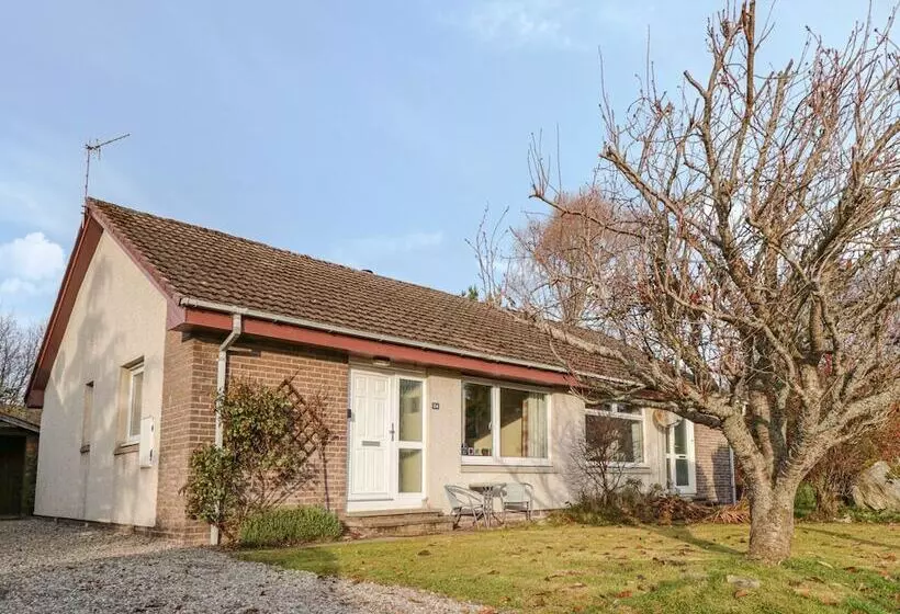 Steam Cottage