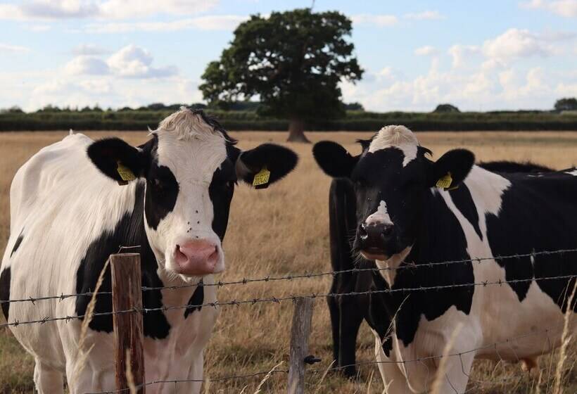 The Farm House @ Nables Farm