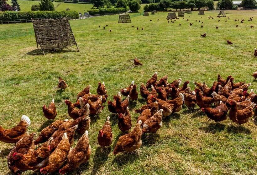The Farm House @ Nables Farm