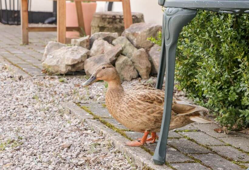 5 Wye Rapid Cottages