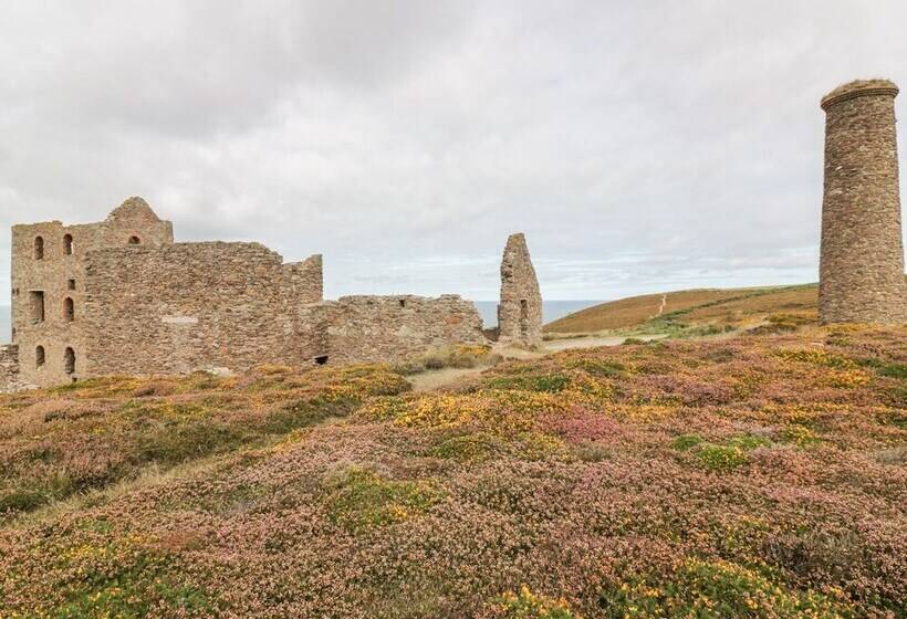 Apartment 1, Trearren