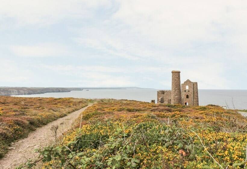 Apartment 1, Trearren