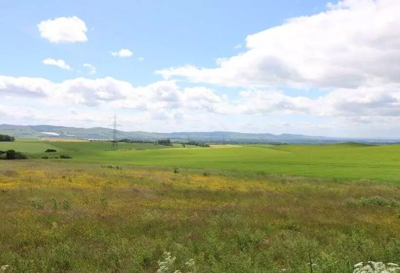 Brae Of Airlie Farm