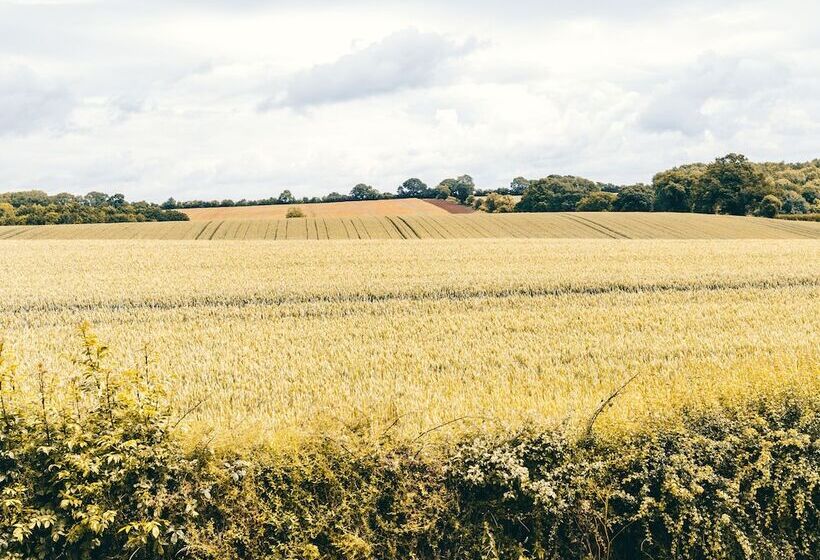 Eudon Burnell Cottage