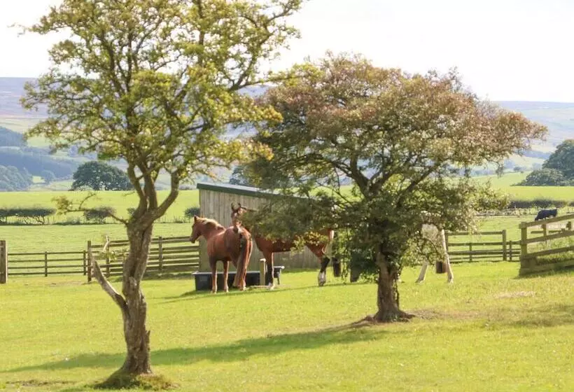 The Barn Cottage