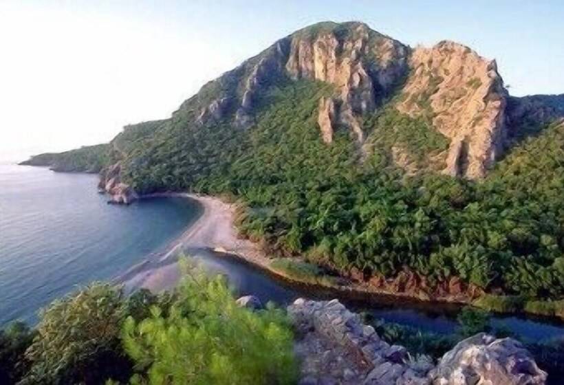 هاستل Bayrams Tree Houses