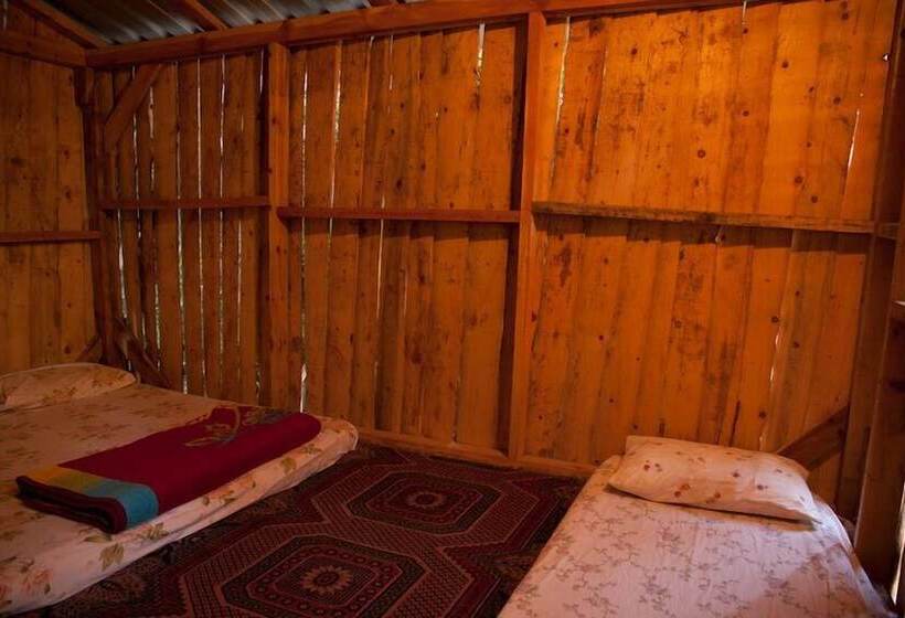 هاستل Bayrams Tree Houses