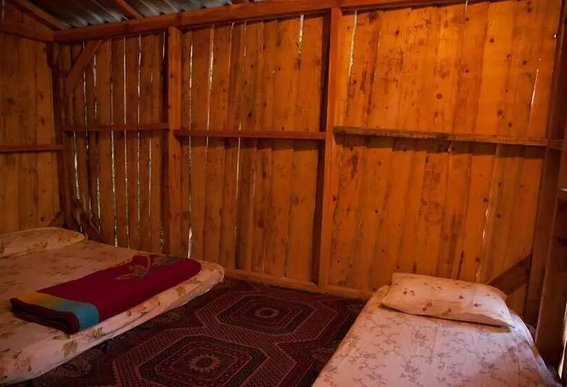 هاستل Bayrams Tree Houses
