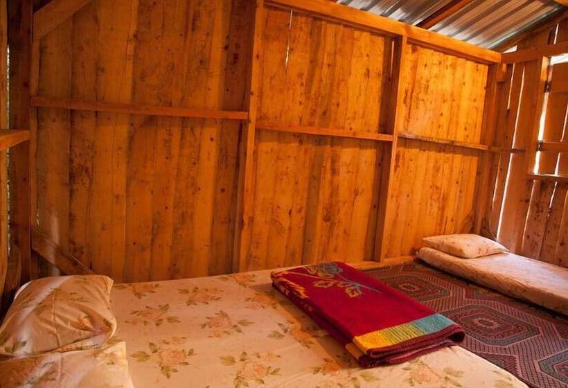 هاستل Bayrams Tree Houses