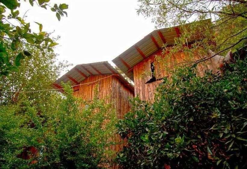 هاستل Bayrams Tree Houses