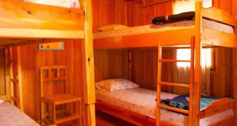 هاستل Bayrams Tree Houses