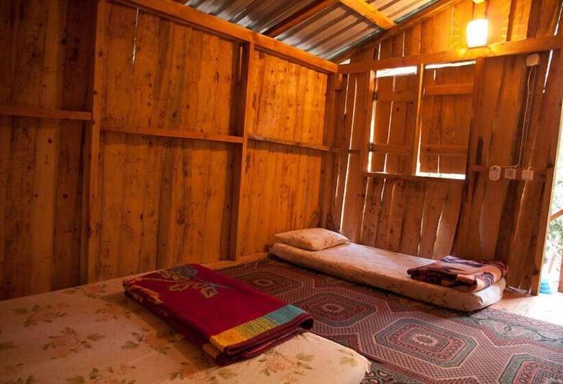 هاستل Bayrams Tree Houses