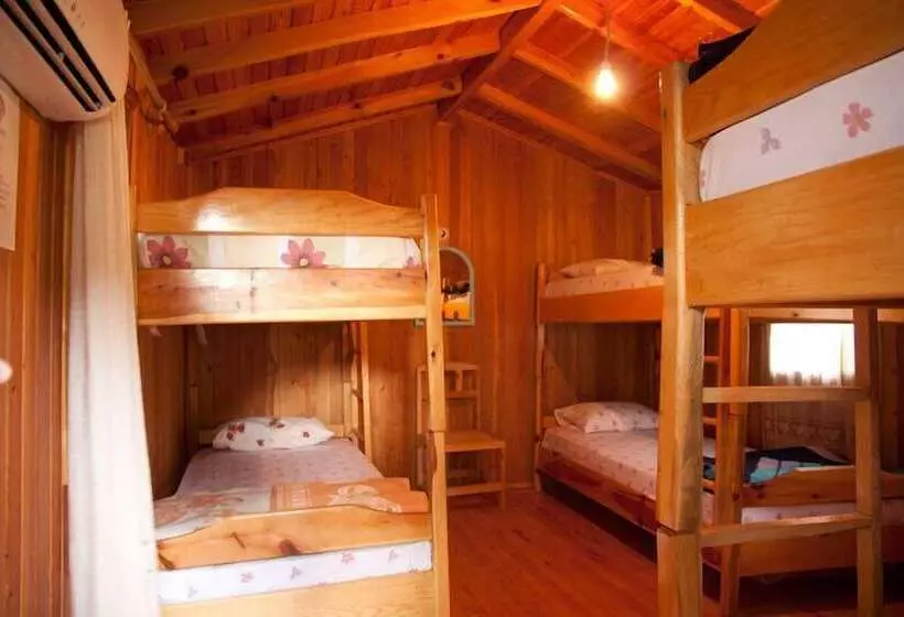 هاستل Bayrams Tree Houses