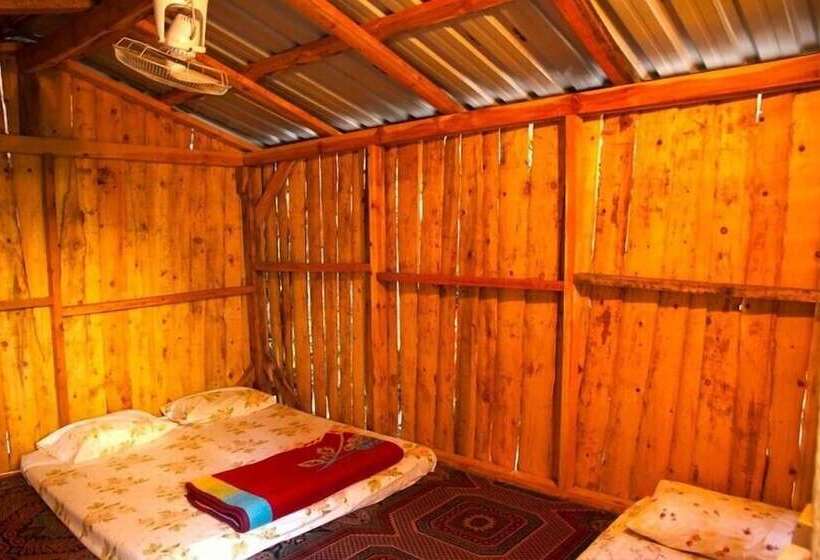 هاستل Bayrams Tree Houses