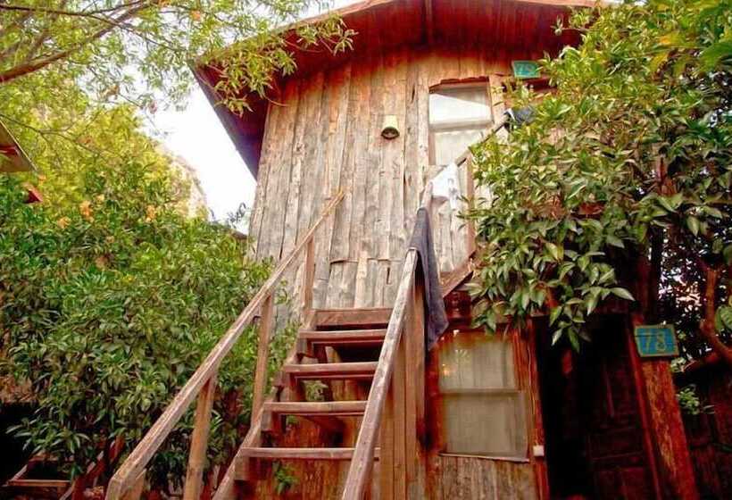 هاستل Bayrams Tree Houses