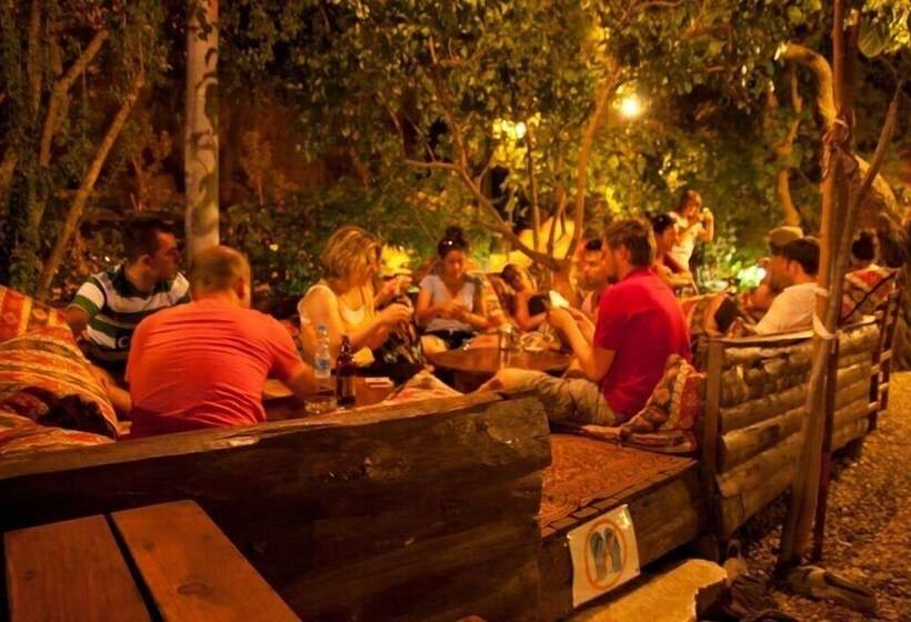 هاستل Bayrams Tree Houses