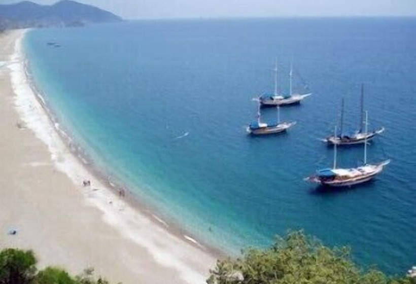 هاستل Bayrams Tree Houses