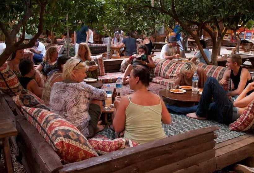 هاستل Bayrams Tree Houses