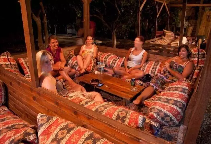 هاستل Bayrams Tree Houses