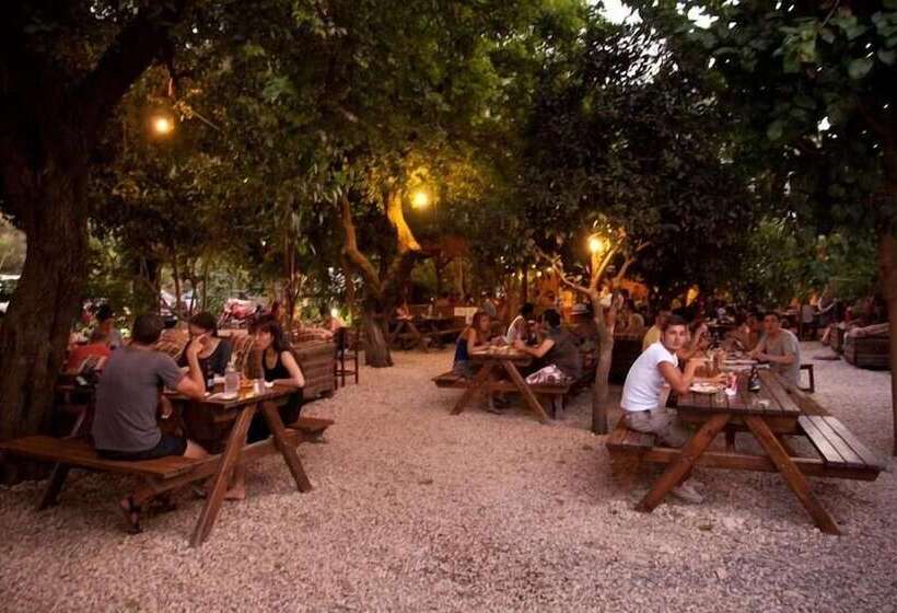 هاستل Bayrams Tree Houses