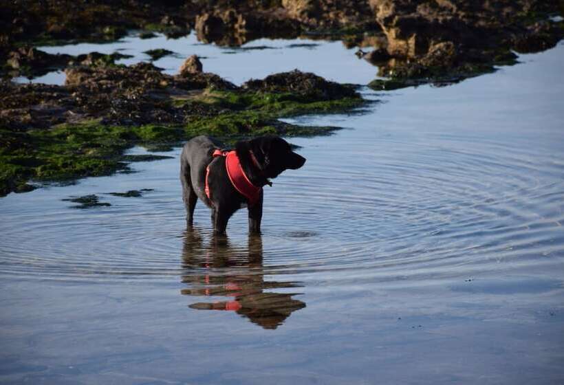 住宿加早餐  Seascape Largo