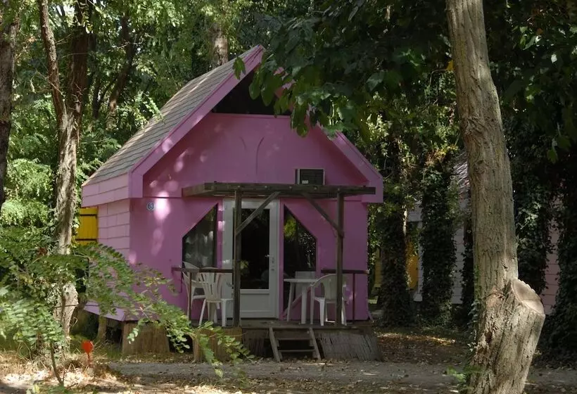 ホテル Camping Bellerive