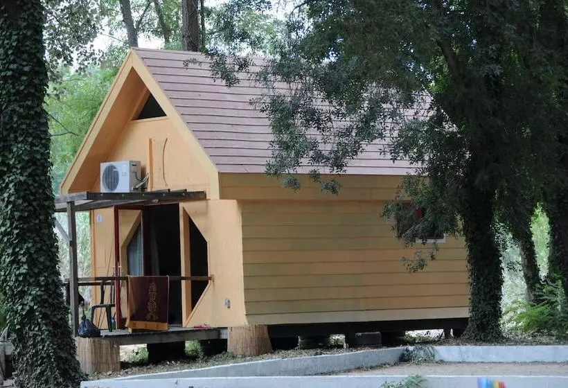 ホテル Camping Bellerive