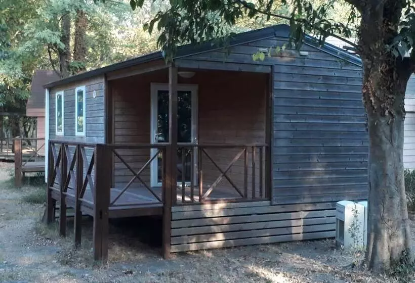 ホテル Camping Bellerive