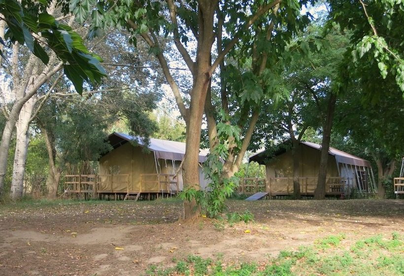 호텔 Camping Bellerive