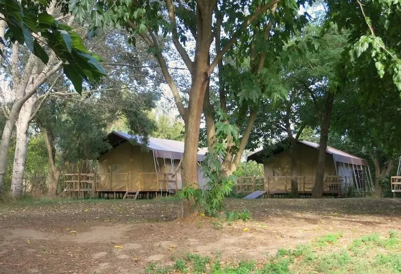 ホテル Camping Bellerive