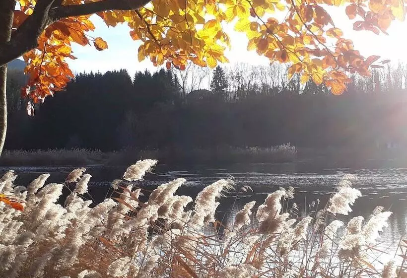 ホテル Camping Bellerive