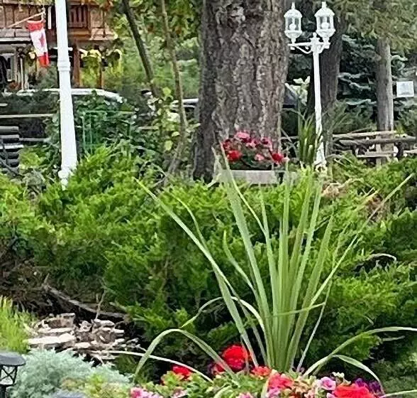 Hotelli Celadon Lodge