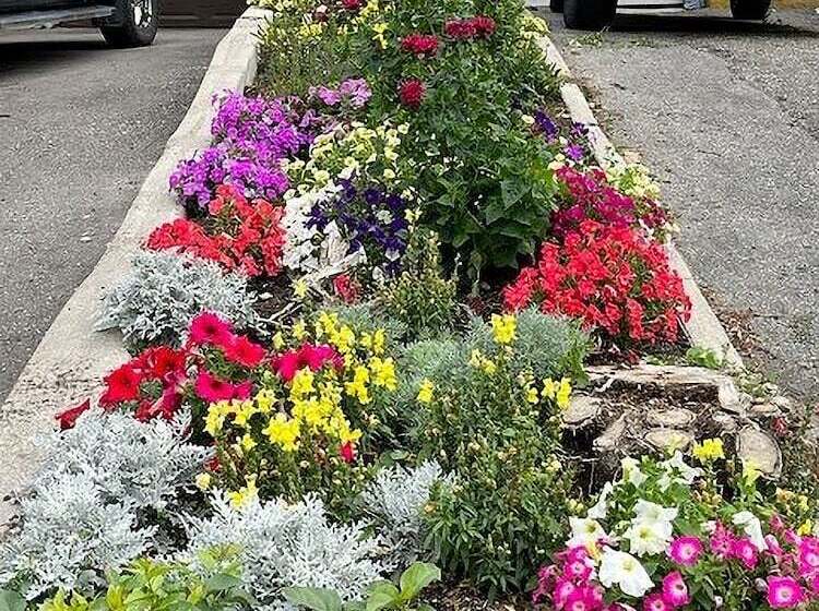 هتل Celadon Lodge