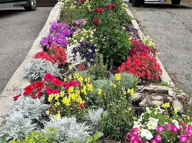 Hotelli Celadon Lodge