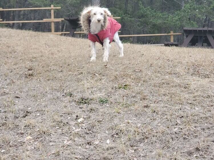 هتل Celadon Lodge