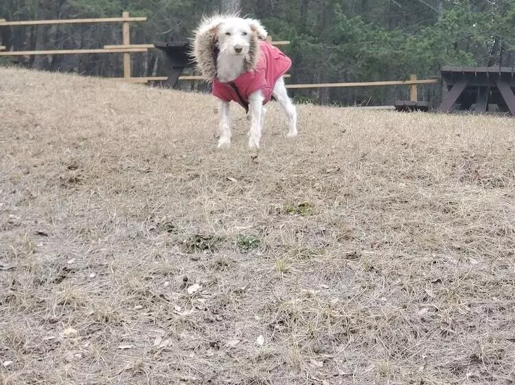 Hotelli Celadon Lodge