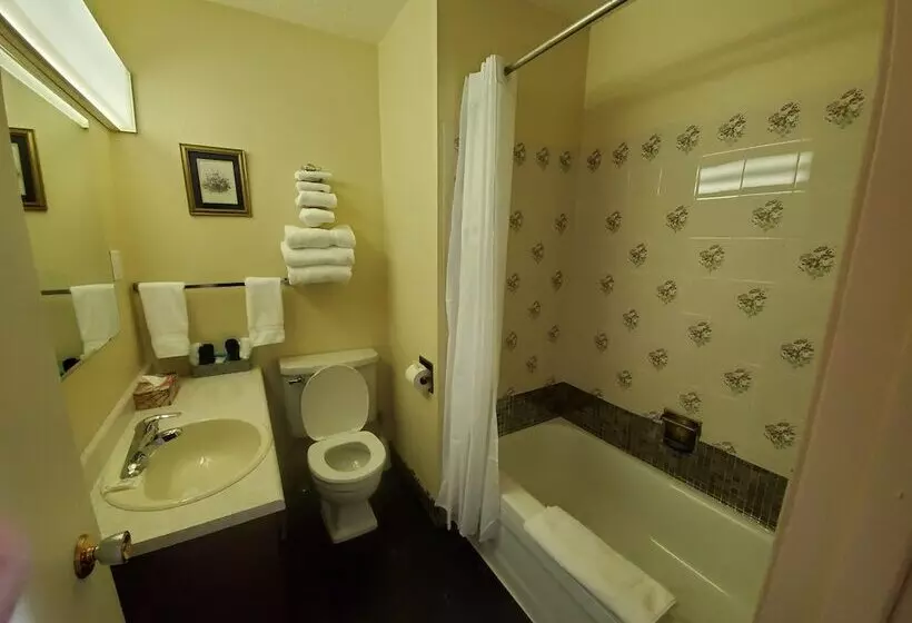 Hotelli Celadon Lodge