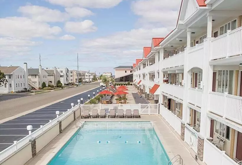 Hotelli Desert Sand Resort